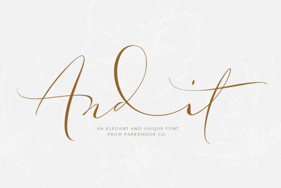 Andit: A Delicate Script Handwritten Font for Editorial Design
