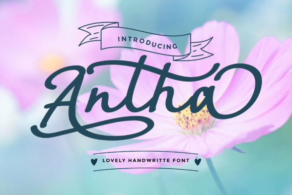 Antha: The Flowing Script Font for Modern Brands