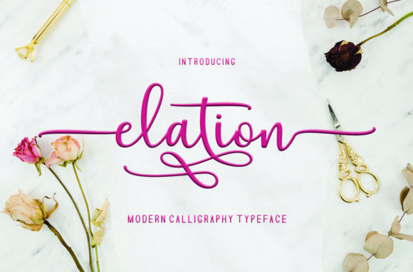 Elation Font Review: Elevating Web Design with Versatile Typography